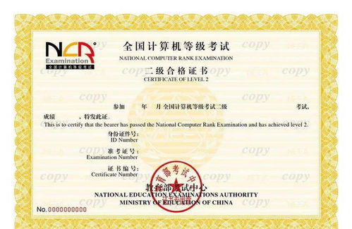 系统集成项目管理工程师与计算机二级认证的区分